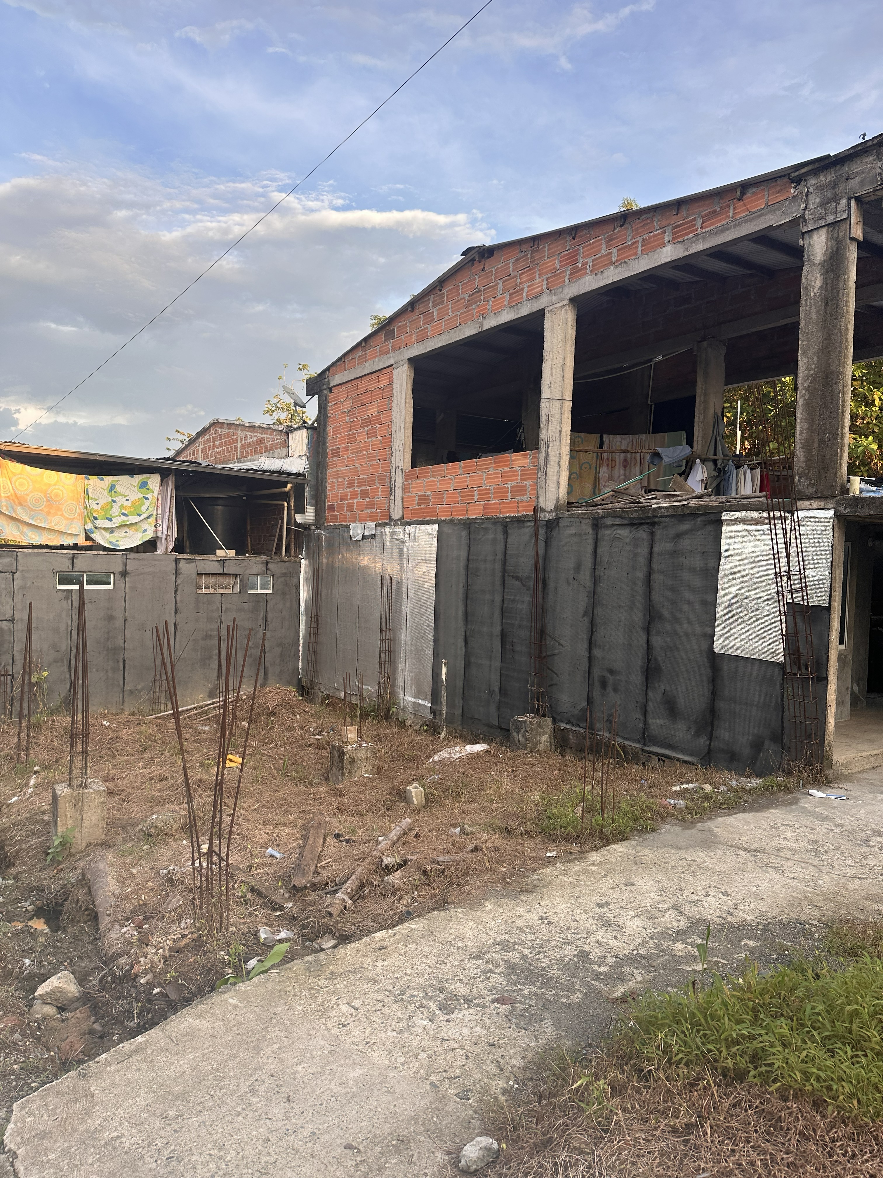 Lote en flores de Buenaños